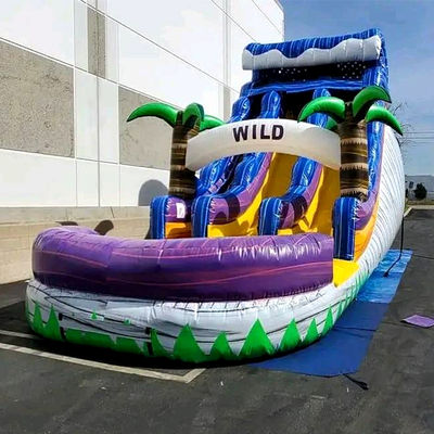 Large Pool Kids Bounce Slide House Party Commercial Tropical Palm Trees Water Slide with Two Slip n Slide