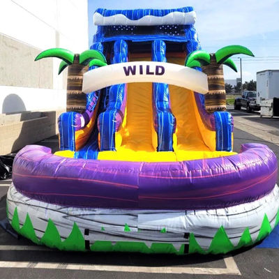 Large Pool Kids Bounce Slide House Party Commercial Tropical Palm Trees Water Slide with Two Slip n Slide