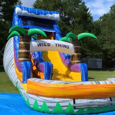 Large Pool Kids Bounce Slide House Party Commercial Tropical Palm Trees Water Slide with Two Slip n Slide