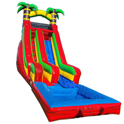 PVC Backyard Tropical Palm Tree Water Slide with Detachable Pool and Digital Printing