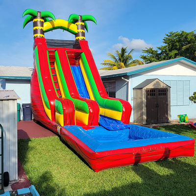 PVC Backyard Tropical Palm Tree Water Slide with Detachable Pool and Digital Printing