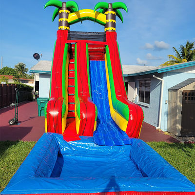 PVC Backyard Tropical Palm Tree Water Slide with Detachable Pool and Digital Printing