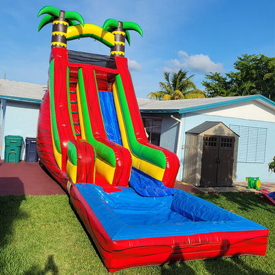 PVC Backyard Tropical Palm Tree Water Slide with Detachable Pool and Digital Printing