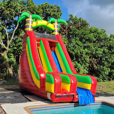 PVC Backyard Tropical Palm Tree Water Slide with Detachable Pool and Digital Printing