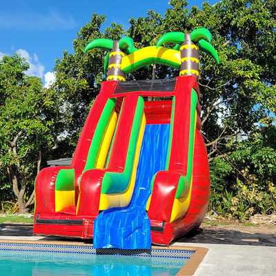 PVC Backyard Tropical Palm Tree Water Slide with Detachable Pool and Digital Printing
