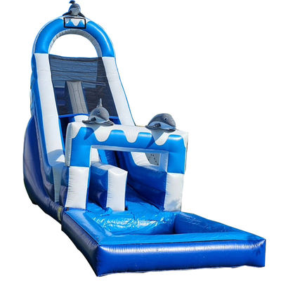 0.55mm PVC Tarpaulin Huge Dolphin Themed Inflatable Water Slide with Detachable Pool
