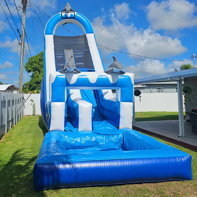 0.55mm PVC Tarpaulin Huge Dolphin Themed Inflatable Water Slide with Detachable Pool