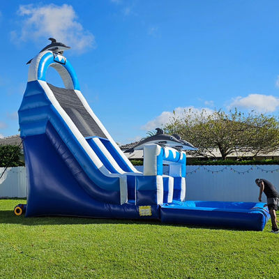 0.55mm PVC Tarpaulin Huge Dolphin Themed Inflatable Water Slide with Detachable Pool