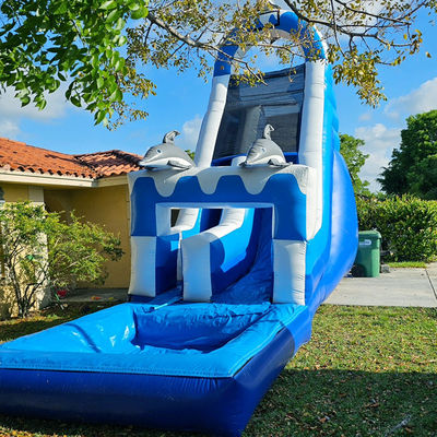0.55mm PVC Tarpaulin Huge Dolphin Themed Inflatable Water Slide with Detachable Pool