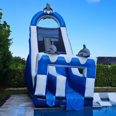 0.55mm PVC Tarpaulin Huge Dolphin Themed Inflatable Water Slide with Detachable Pool