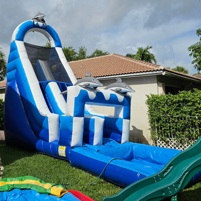0.55mm PVC Tarpaulin Huge Dolphin Themed Inflatable Water Slide with Detachable Pool