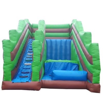 Unisex Family Garden Inflatable Slide Game CE Blower and Repair Accessories Included