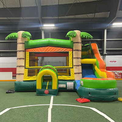 Features PORTABLE Inflatable Castle Palm Tree Bounce House with Slide and Small Pool