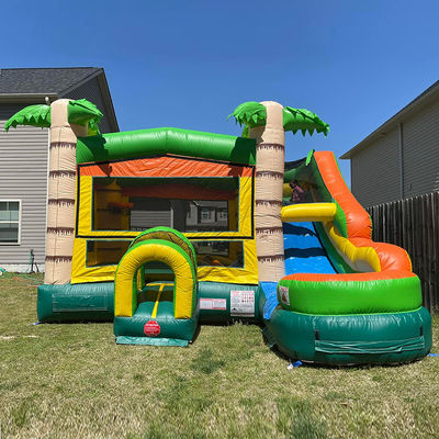 Features PORTABLE Inflatable Castle Palm Tree Bounce House with Slide and Small Pool