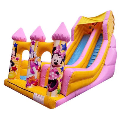 5-10 Passengers Commercial PVC Cartoon Style Pink Jumping Dry or Water Slide Inflatable Bouncer House Slide Party Rentals