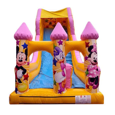 5-10 Passengers Commercial PVC Cartoon Style Pink Jumping Dry or Water Slide Inflatable Bouncer House Slide Party Rentals