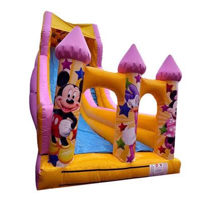 5-10 Passengers Commercial PVC Cartoon Style Pink Jumping Dry or Water Slide Inflatable Bouncer House Slide Party Rentals