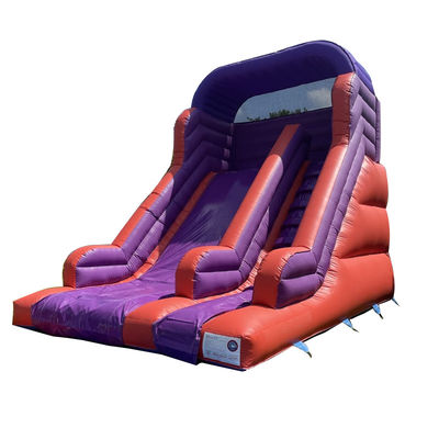 Backyard Bouncing Jumping Dry Slide for Kids and Adults Indoor PVC Purple Water Slide