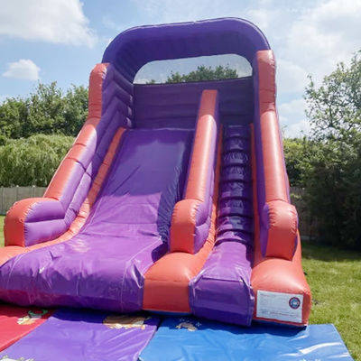 Backyard Bouncing Jumping Dry Slide for Kids and Adults Indoor PVC Purple Water Slide