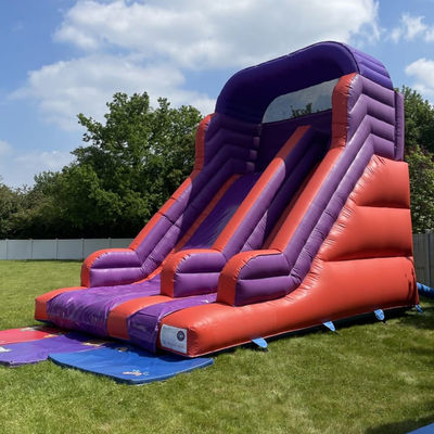 Backyard Bouncing Jumping Dry Slide for Kids and Adults Indoor PVC Purple Water Slide