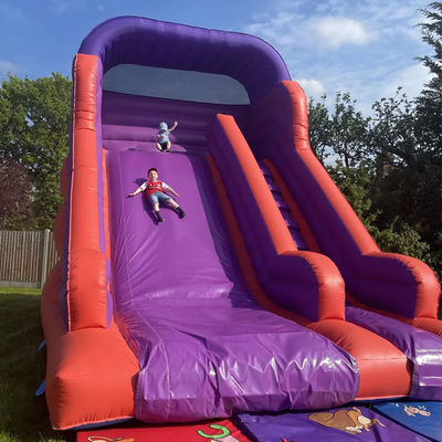 Backyard Bouncing Jumping Dry Slide for Kids and Adults Indoor PVC Purple Water Slide