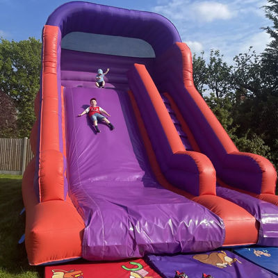 Backyard Bouncing Jumping Dry Slide for Kids and Adults Indoor PVC Purple Water Slide