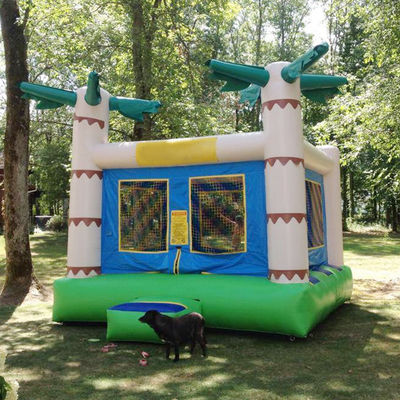 14 Years up Customized Color Tropical Palm Tree Bouncy Kids Bouncing Castle for Rent