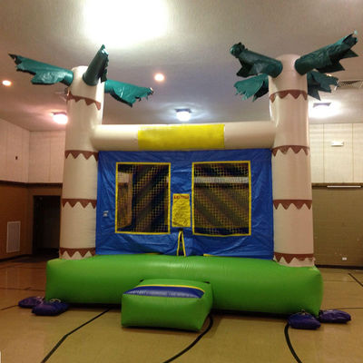 14 Years up Customized Color Tropical Palm Tree Bouncy Kids Bouncing Castle for Rent
