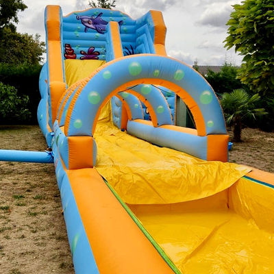 Experience the Thrill with Underwater World Theme Inflatable Water Park and Slide