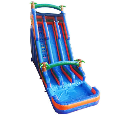 Palm Tree Orange Water Slide Inflatable Double Slip n Slide and Pool for Backyard Fun