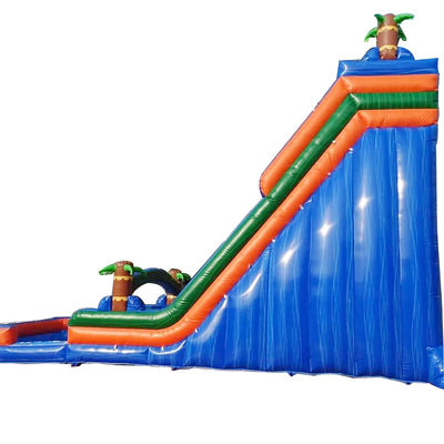 Palm Tree Orange Water Slide Inflatable Double Slip n Slide and Pool for Backyard Fun