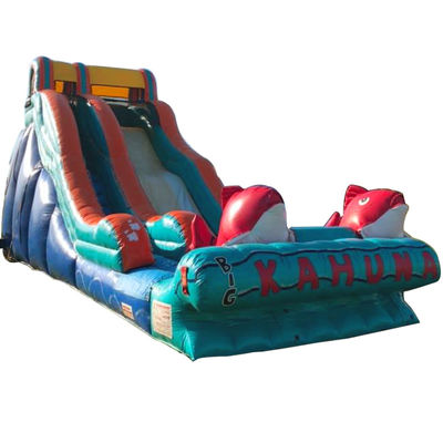 0.55mm PVC Tarpaulin Red Carp Theme Inflatable Water Slide with Wide Slip and Slide