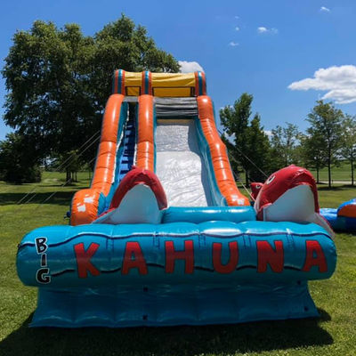 0.55mm PVC Tarpaulin Red Carp Theme Inflatable Water Slide with Wide Slip and Slide