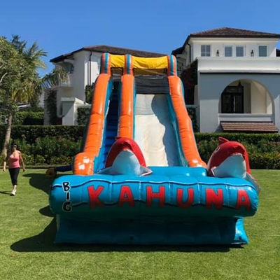 0.55mm PVC Tarpaulin Red Carp Theme Inflatable Water Slide with Wide Slip and Slide