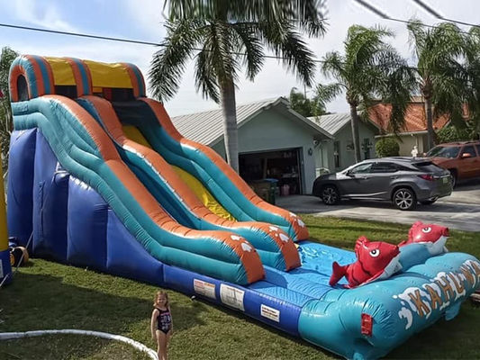 0.55mm PVC Tarpaulin Red Carp Theme Inflatable Water Slide with Wide Slip and Slide