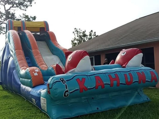 0.55mm PVC Tarpaulin Red Carp Theme Inflatable Water Slide with Wide Slip and Slide