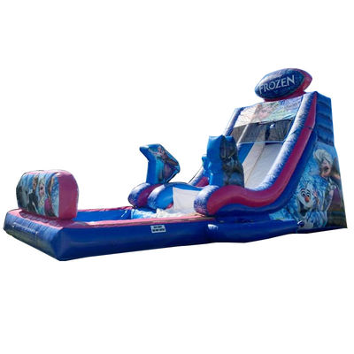 Max Capacity 100-500kg Inflatable Frozen Themed Bounce House Water Slide with Big Pool