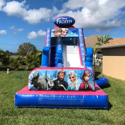 Max Capacity 100-500kg Inflatable Frozen Themed Bounce House Water Slide with Big Pool