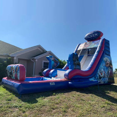 Max Capacity 100-500kg Inflatable Frozen Themed Bounce House Water Slide with Big Pool