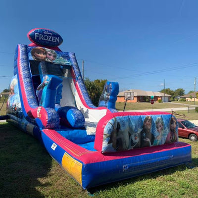 Max Capacity 100-500kg Inflatable Frozen Themed Bounce House Water Slide with Big Pool