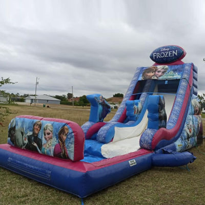 Max Capacity 100-500kg Inflatable Frozen Themed Bounce House Water Slide with Big Pool