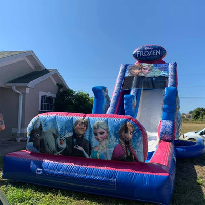Max Capacity 100-500kg Inflatable Frozen Themed Bounce House Water Slide with Big Pool