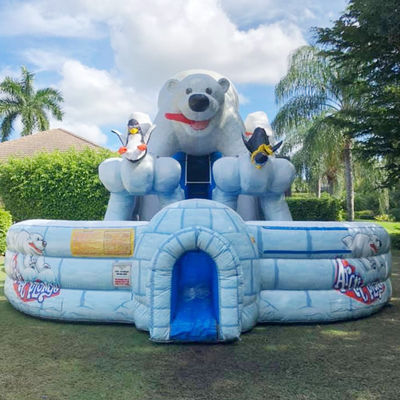 Indoor Commercial Huge Artic Plunge Inflatable Water Slide with Dual Lane Air Slide