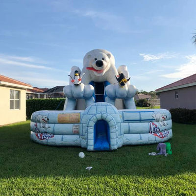 Indoor Commercial Huge Artic Plunge Inflatable Water Slide with Dual Lane Air Slide
