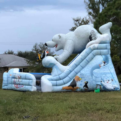 Indoor Commercial Huge Artic Plunge Inflatable Water Slide with Dual Lane Air Slide