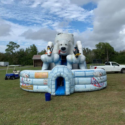 Indoor Commercial Huge Artic Plunge Inflatable Water Slide with Dual Lane Air Slide