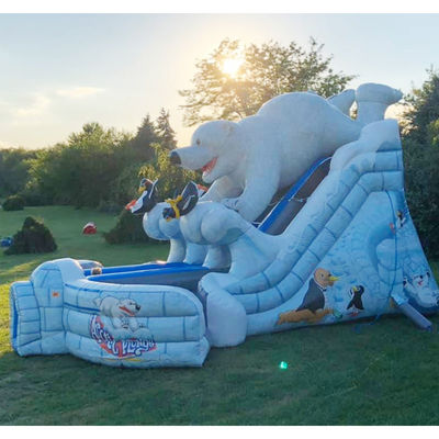 Indoor Commercial Huge Artic Plunge Inflatable Water Slide with Dual Lane Air Slide