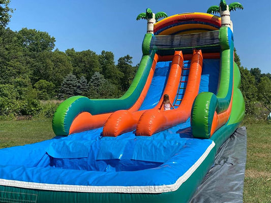 Max Capacity 100-500kg Dual Lane Inflatable Water Park with Pool and Palm Tree Slide