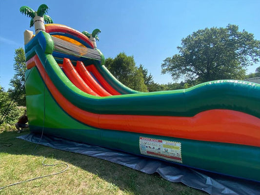 Max Capacity 100-500kg Dual Lane Inflatable Water Park with Pool and Palm Tree Slide