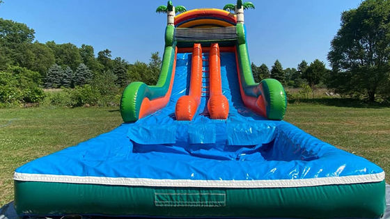 Max Capacity 100-500kg Dual Lane Inflatable Water Park with Pool and Palm Tree Slide